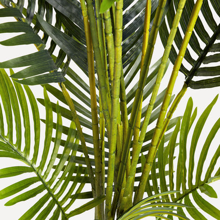 Árvore Artificial Areca - 170 cm