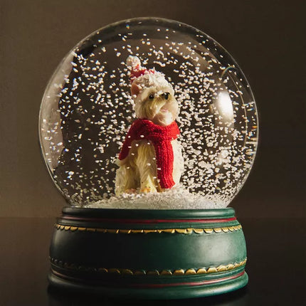 BOLA DE NEVE CÃO BICHON MALTÊS NATAL