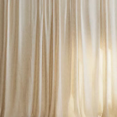 Collection image for: Cortinas
