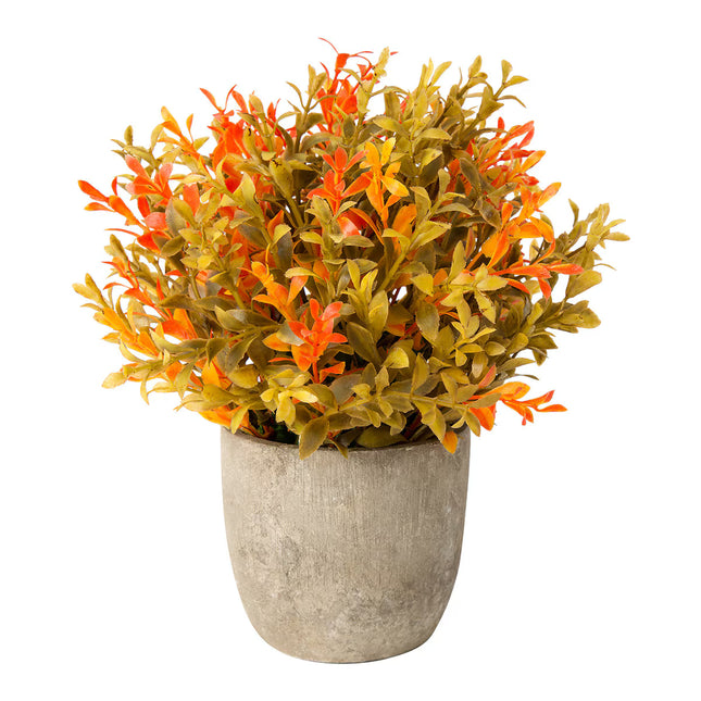 Planta artificial Buxo em vaso de cimento