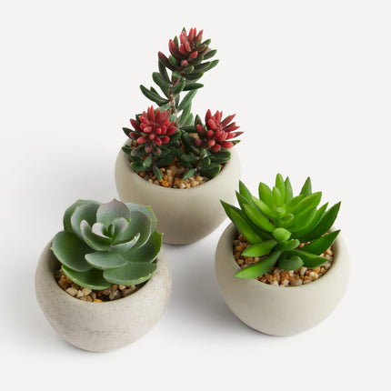 Conjunto de 3 mini plantas artificiais Cacto