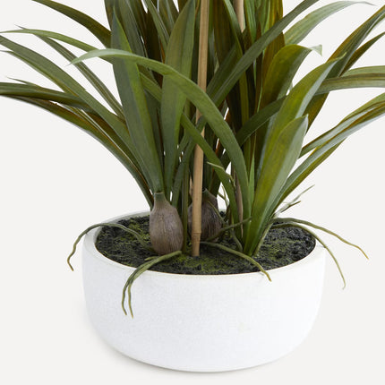 Planta artificial orquídea com base natural