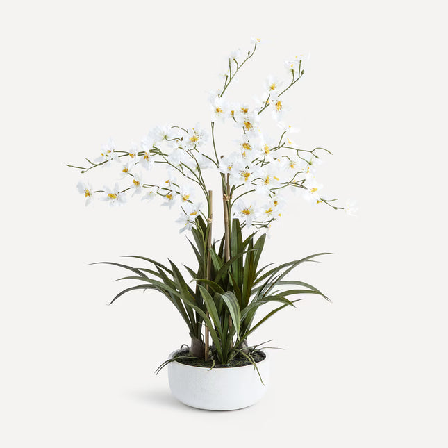 Planta artificial orquídea com base natural