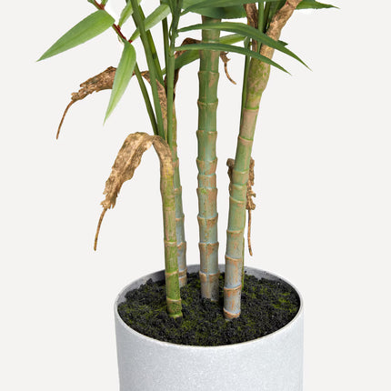 Planta Artificial Camadorea
