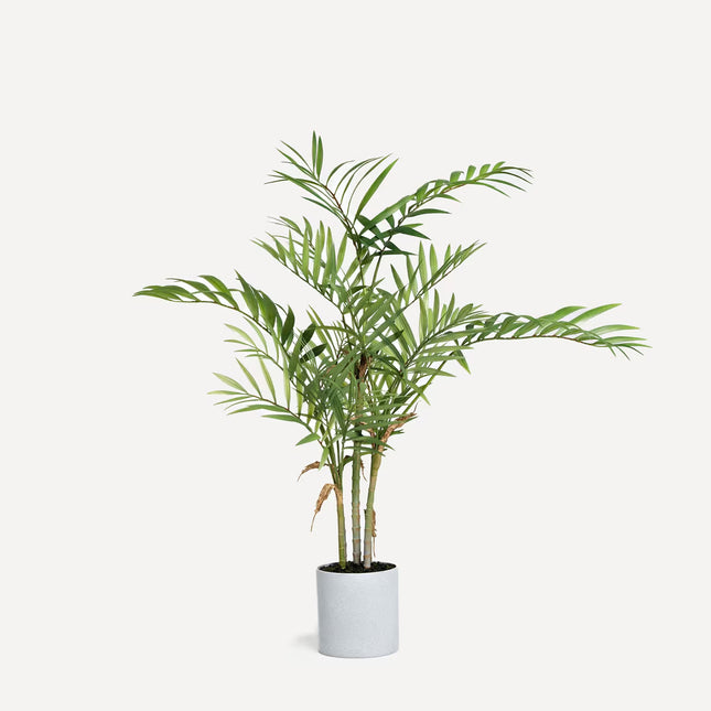 Planta Artificial Camadorea