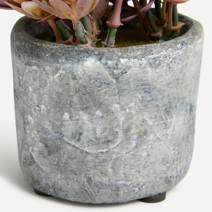 Planta artificial Buxo em vaso de cimento