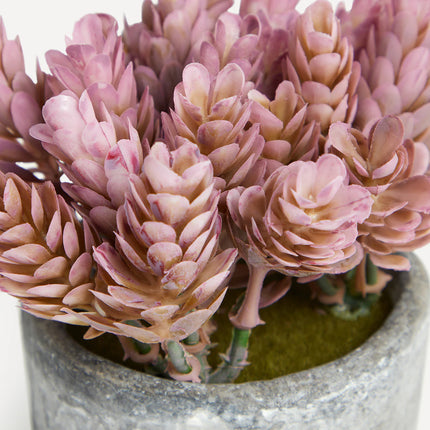 Planta artificial Buxo em vaso de cimento