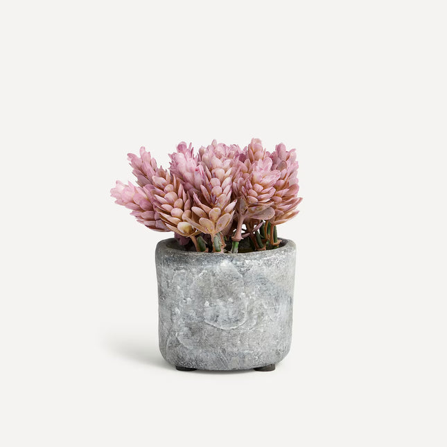 Planta artificial Buxo em vaso de cimento