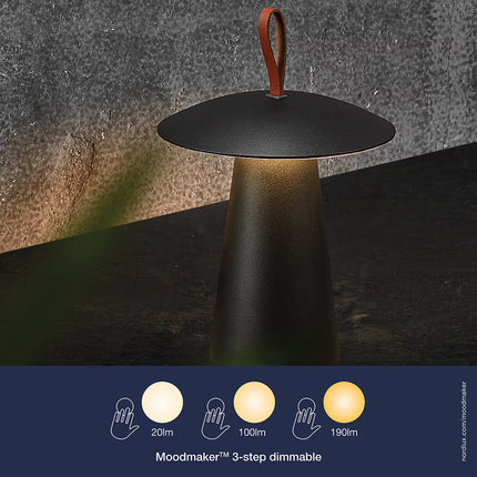 Candeeiro de Mesa Exterior com LED Integrado Ara