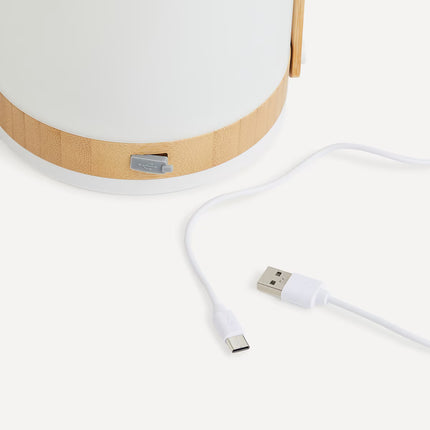 Lanterna e Altifalante Portátil com Bluetooth Speaker Fred