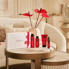 Collection image for: Saúde e Beleza