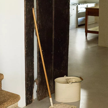 CONJUNTO ESFREGONA E BALDE