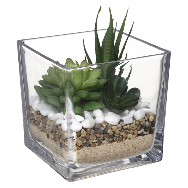 Vaso de vidro com planta 15cm