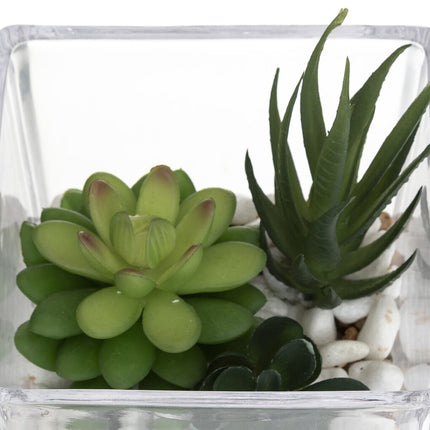 Vaso de vidro com planta 15cm
