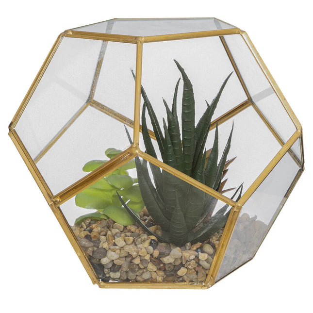 Vaso de vidro com planta 14cm