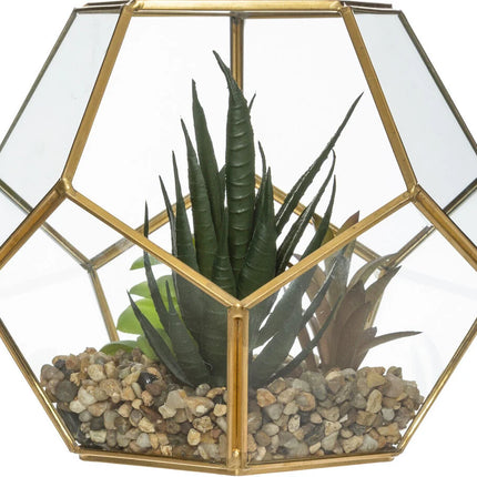 Vaso de vidro com planta 14cm