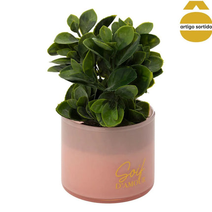 Planta suculenta TAYLI de vidro 18cm