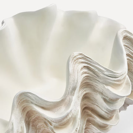 Figura Decorativa Concha
