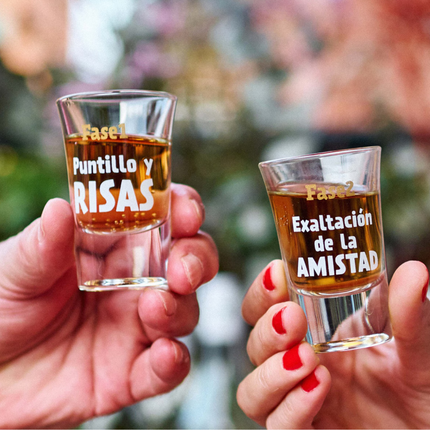 Miss Miserable Pack de 6 Copos de Shot: As Fases da Bebedeira