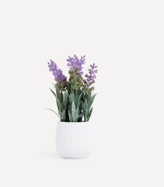 Planta Artificial Lavanda em Vaso de Cimento com Riscos O Nosso Melhor Preço