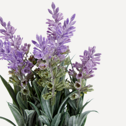 Planta Artificial Lavanda em Vaso de Cimento com Riscos O Nosso Melhor Preço